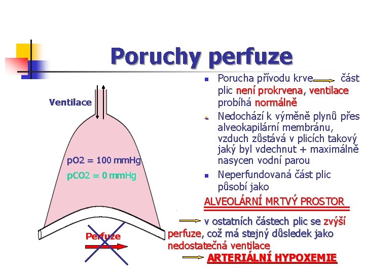 Poruchy perfuze Porucha přívodu krve část plic není prokrvena, ventilace probíhá normálně Nedochází k