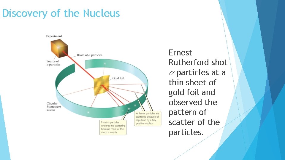 Discovery of the Nucleus Ernest Rutherford shot particles at a thin sheet of gold
