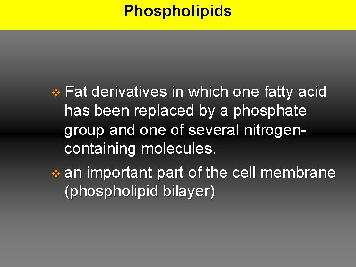 Phospholipids v Fat derivatives in which one fatty acid has been replaced by a