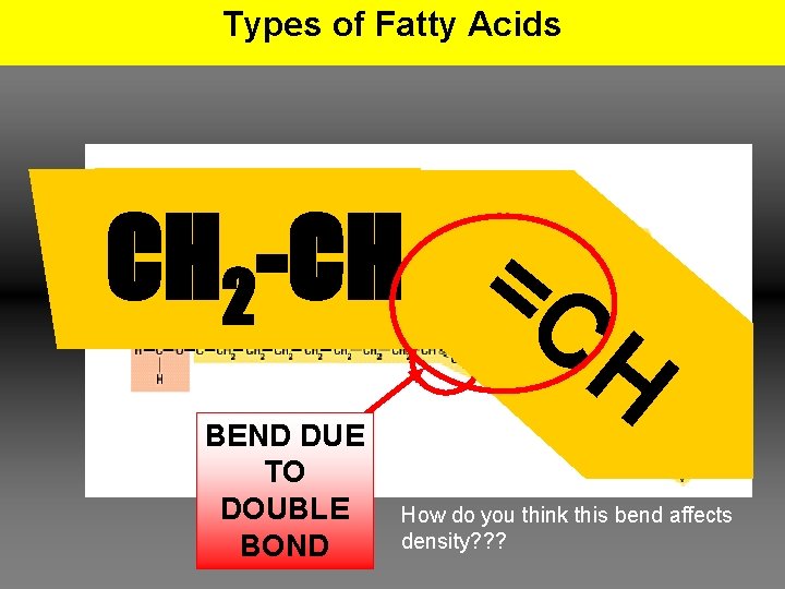 Types of Fatty Acids CH 2 -CH =C H BEND DUE TO DOUBLE BOND