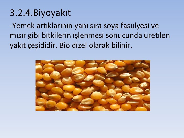 3. 2. 4. Biyoyakıt -Yemek artıklarının yanı sıra soya fasulyesi ve mısır gibi bitkilerin