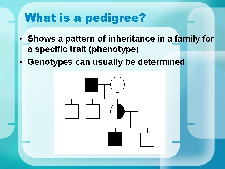 What is a pedigree? • Shows a pattern of inheritance in a family for