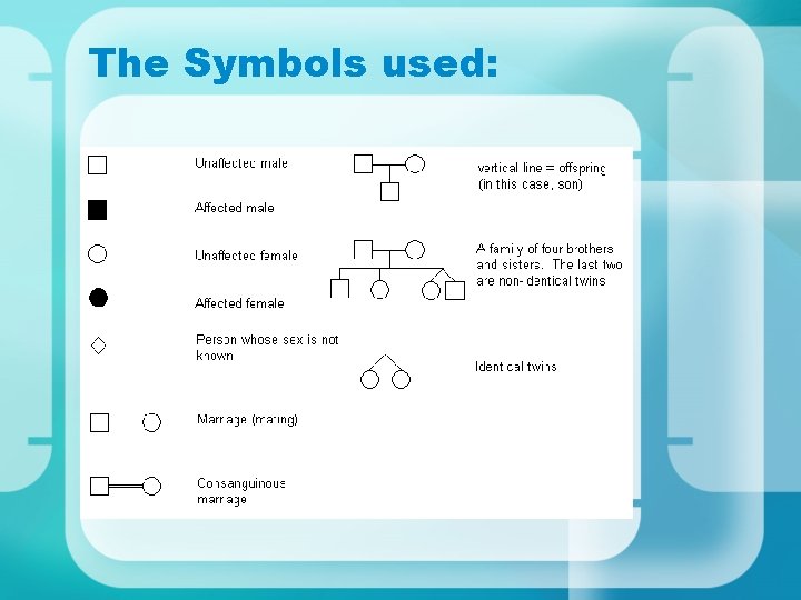 The Symbols used: 