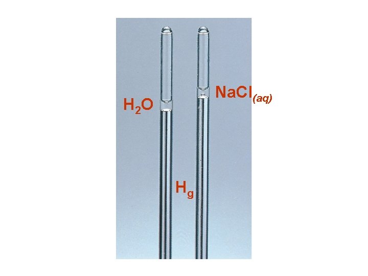 Na. Cl(aq) H 2 O Hg 