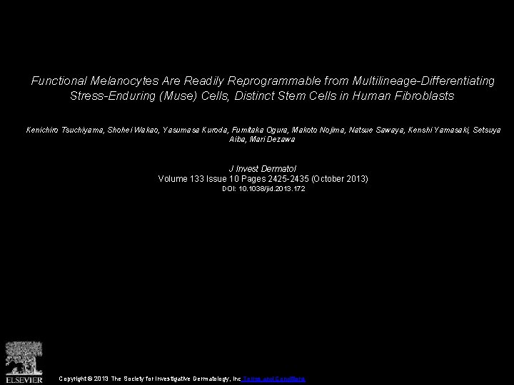 Functional Melanocytes Are Readily Reprogrammable from Multilineage-Differentiating Stress-Enduring (Muse) Cells, Distinct Stem Cells in