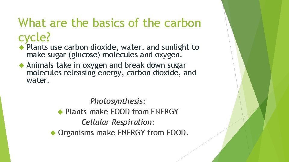 What are the basics of the carbon cycle? Plants use carbon dioxide, water, and