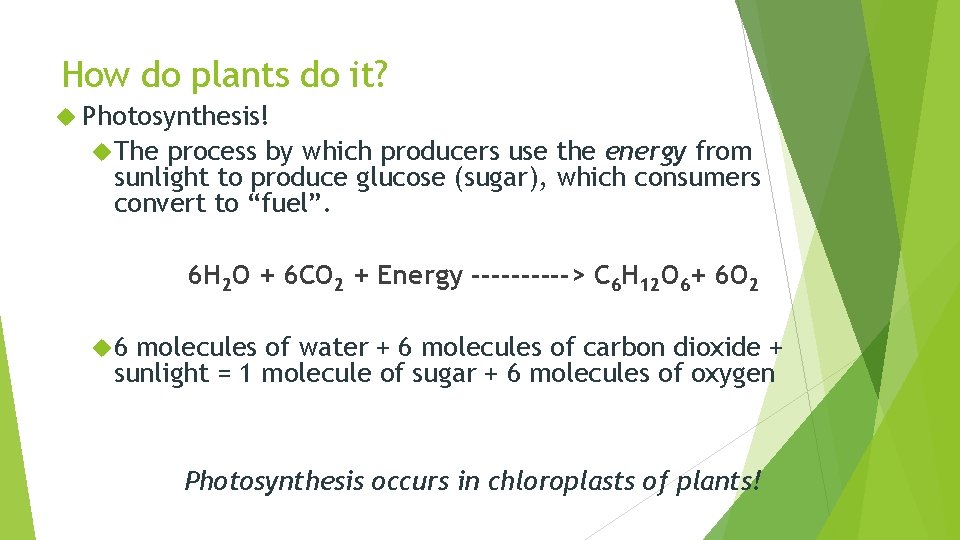 How do plants do it? Photosynthesis! The process by which producers use the energy