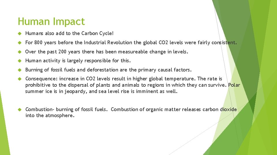 Human Impact Humans also add to the Carbon Cycle! For 800 years before the