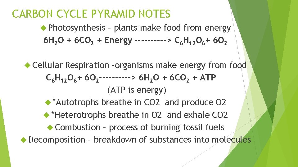 CARBON CYCLE PYRAMID NOTES Photosynthesis – plants make food from energy 6 H 2