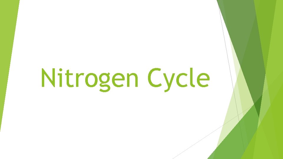 Nitrogen Cycle 