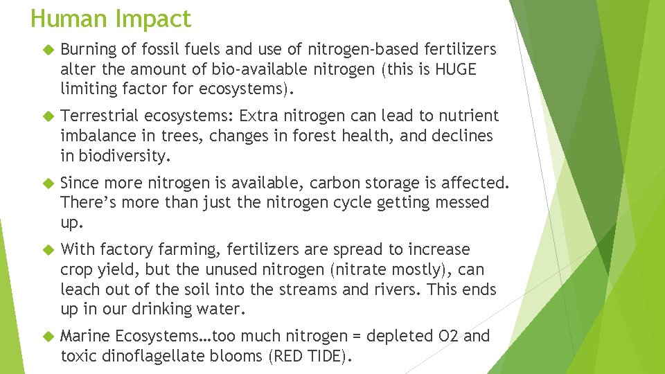 Human Impact Burning of fossil fuels and use of nitrogen-based fertilizers alter the amount