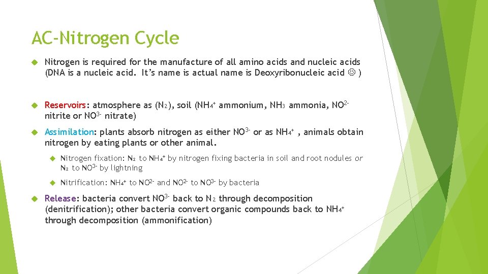 AC-Nitrogen Cycle Nitrogen is required for the manufacture of all amino acids and nucleic