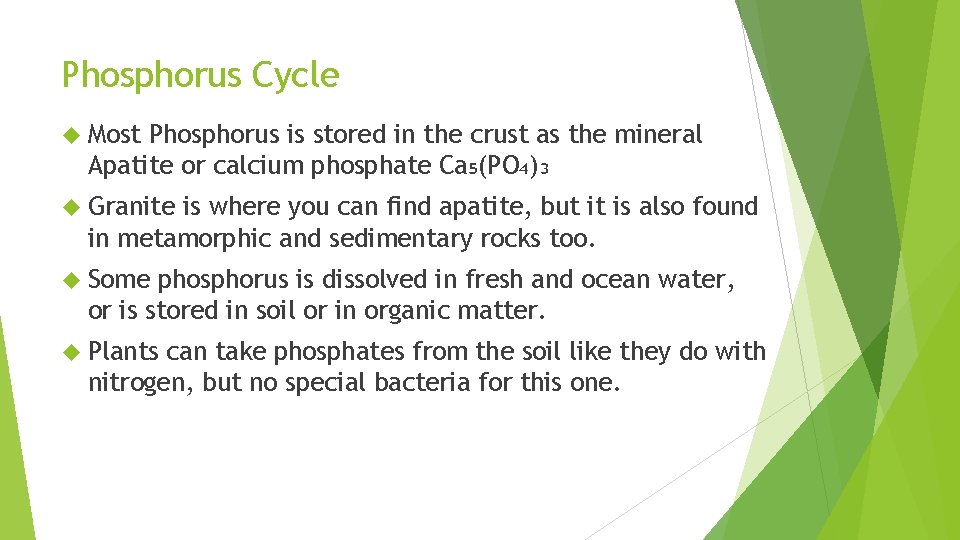 Phosphorus Cycle Most Phosphorus is stored in the crust as the mineral Apatite or