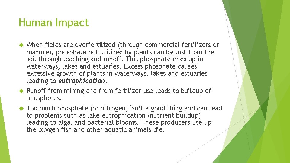 Human Impact When fields are overfertilized (through commercial fertilizers or manure), phosphate not utilized