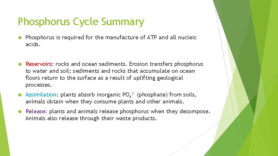 Phosphorus Cycle Summary Phosphorus is required for the manufacture of ATP and all nucleic