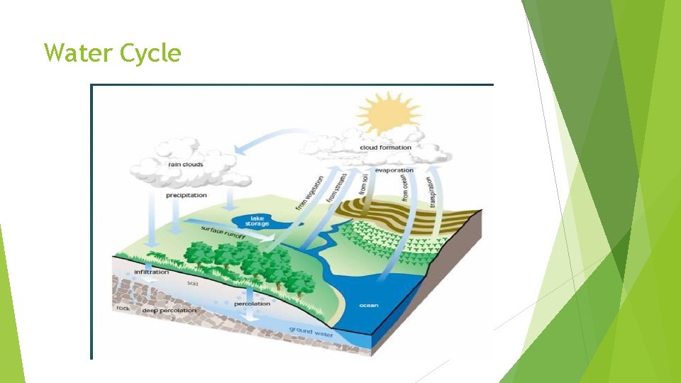 Water Cycle 