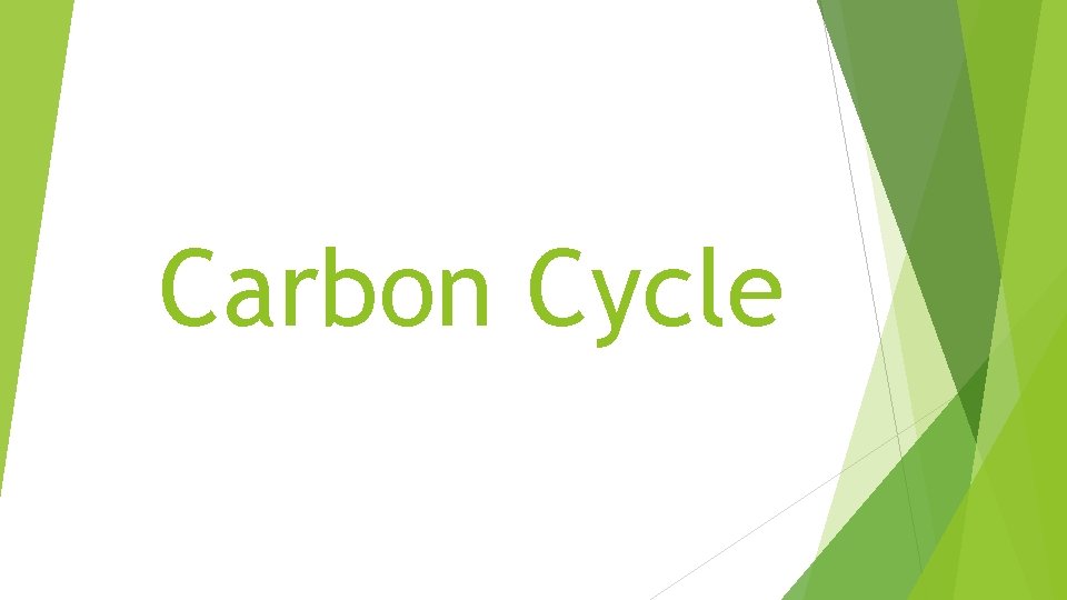 Carbon Cycle 