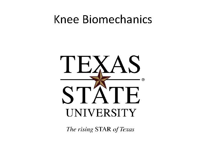 Knee Biomechanics 