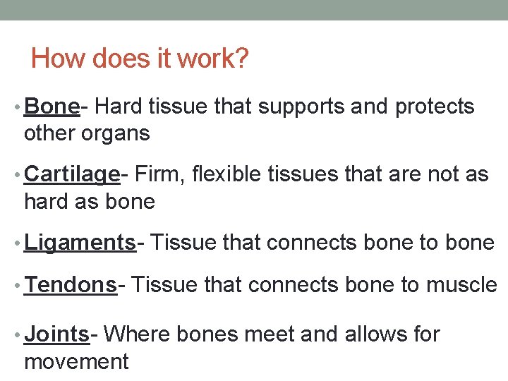 How does it work? • Bone- Hard tissue that supports and protects other organs