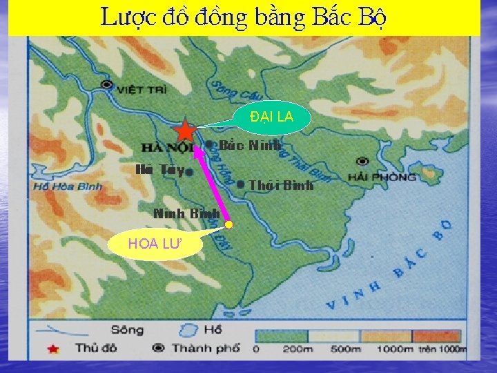 ĐẠI LA HOA LƯ 