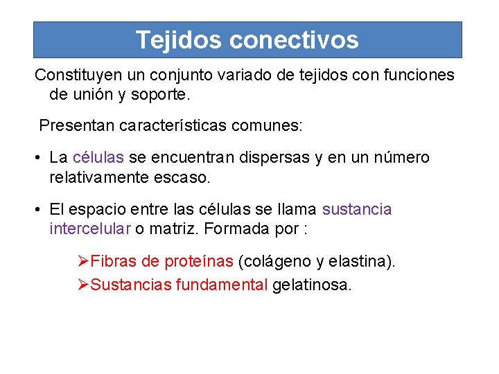 Tejidos conectivos Constituyen un conjunto variado de tejidos con funciones de unión y soporte.