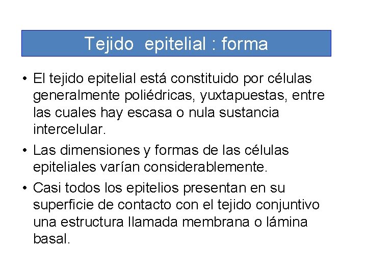 Tejido epitelial : forma • El tejido epitelial está constituido por células generalmente poliédricas,