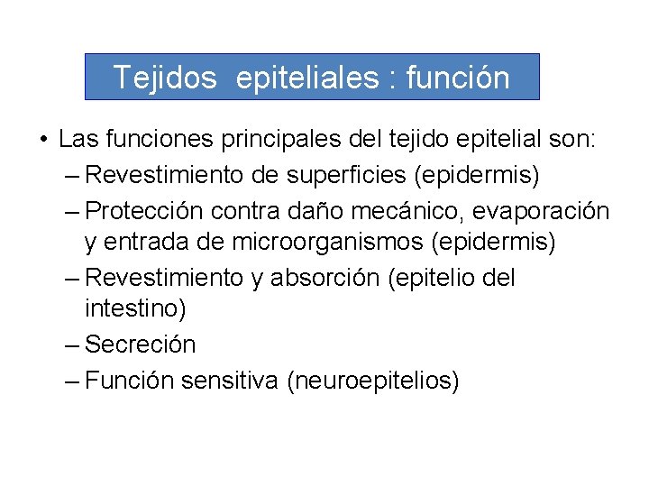 Tejidos epiteliales : función • Las funciones principales del tejido epitelial son: – Revestimiento