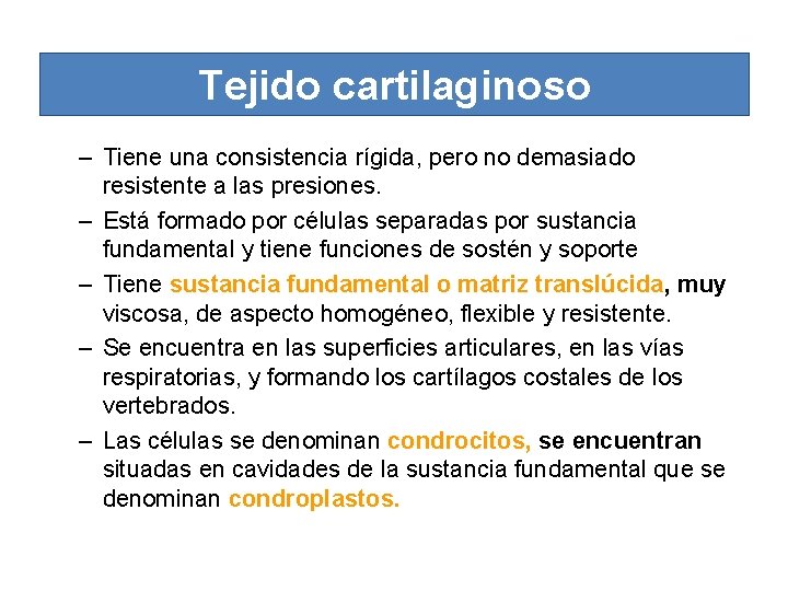 Tejido cartilaginoso – Tiene una consistencia rígida, pero no demasiado resistente a las presiones.
