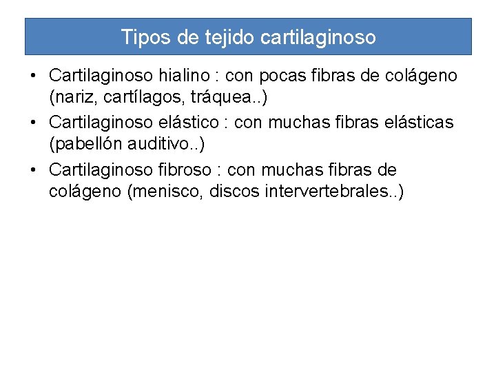 Tipos de tejido cartilaginoso • Cartilaginoso hialino : con pocas fibras de colágeno (nariz,