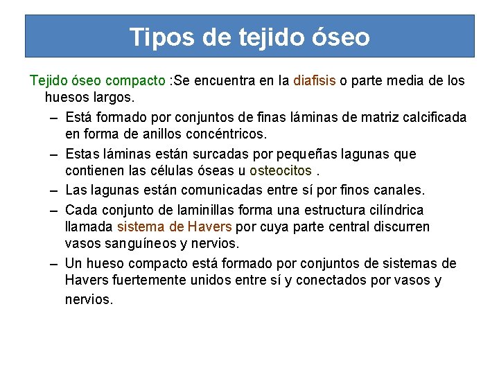 Tipos de tejido óseo Tejido óseo compacto : Se encuentra en la diafisis o