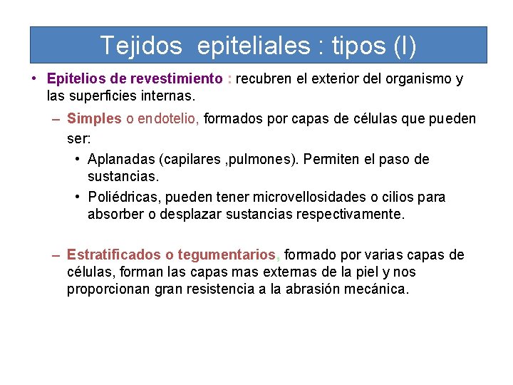 Tejidos epiteliales : tipos (I) • Epitelios de revestimiento : recubren el exterior del