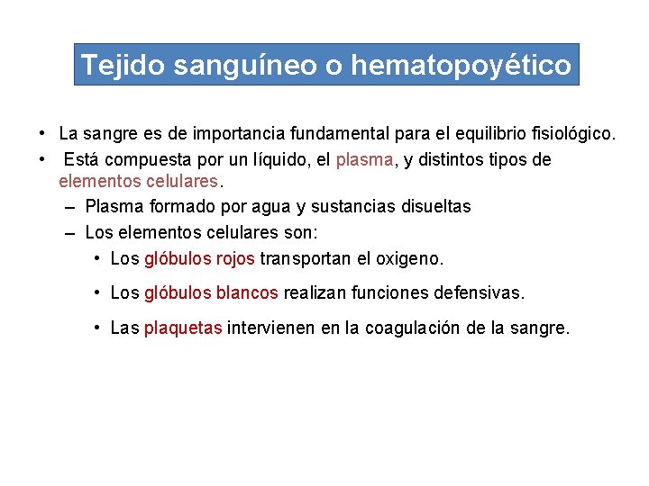Tejido sanguíneo o hematopoyético • La sangre es de importancia fundamental para el equilibrio