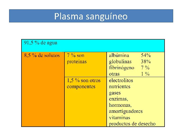 Plasma sanguíneo 