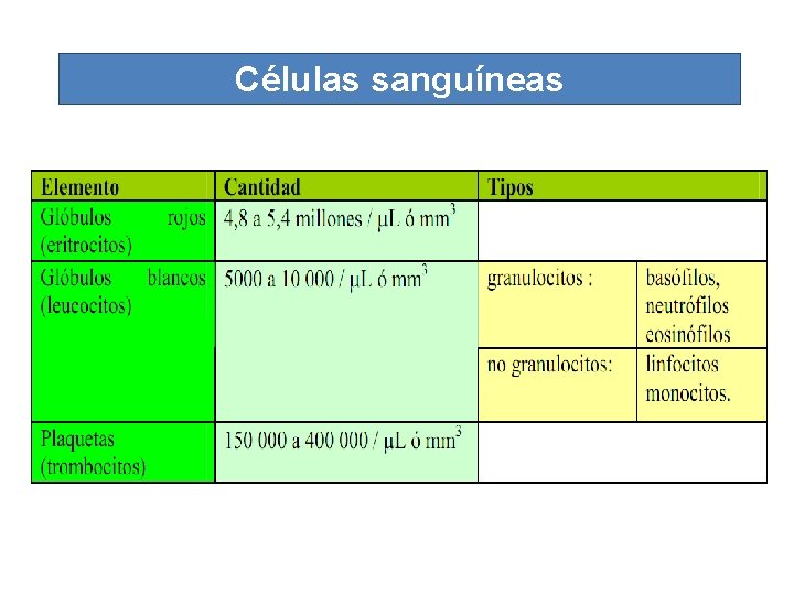 Células sanguíneas 
