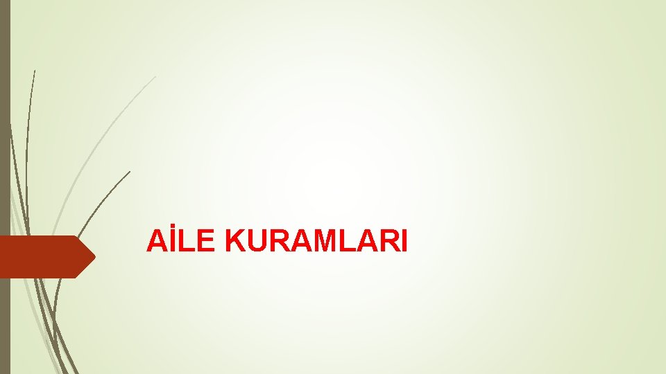 AİLE KURAMLARI 