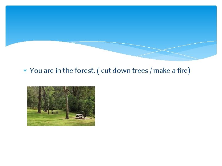  You are in the forest. ( cut down trees / make a fire)