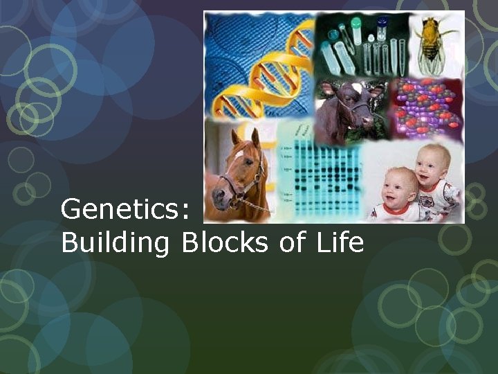 Genetics: Building Blocks of Life 