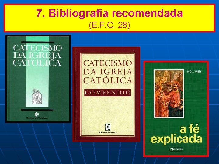 7. Bibliografia recomendada (E. F. C. 28) 