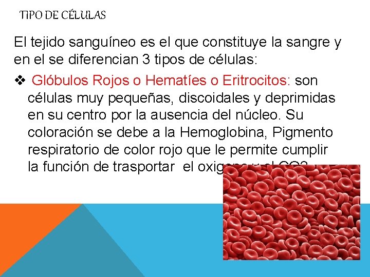 TIPO DE CÉLULAS El tejido sanguíneo es el que constituye la sangre y en