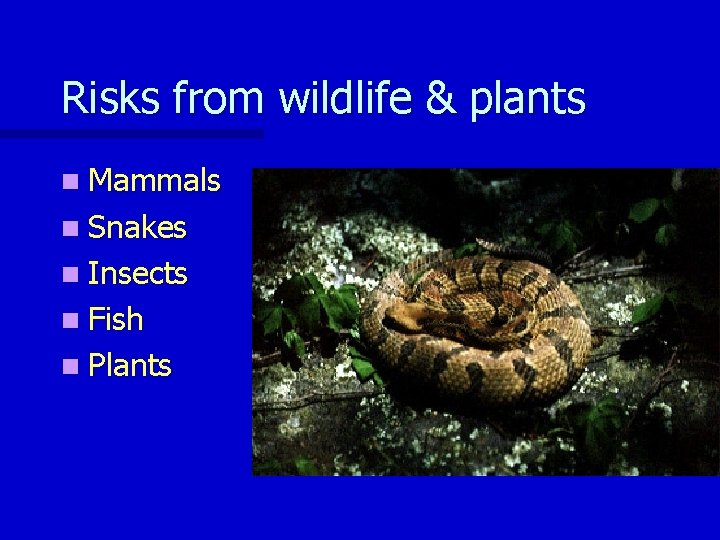 Risk Liability Risks from wildlife plants n Mammals