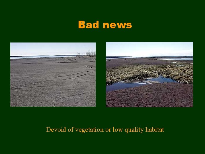 Bad news Devoid of vegetation or low quality habitat 