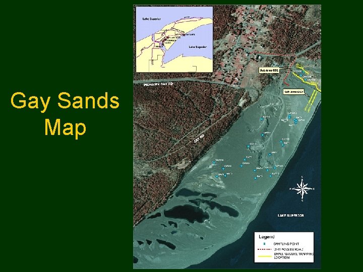 Gay Sands Map 