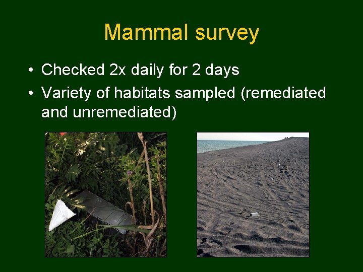 Mammal survey • Checked 2 x daily for 2 days • Variety of habitats