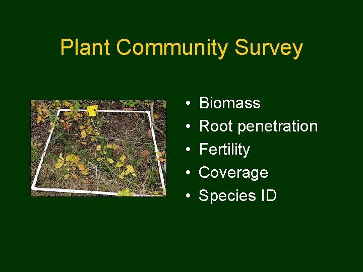 Plant Community Survey • • • Biomass Root penetration Fertility Coverage Species ID 