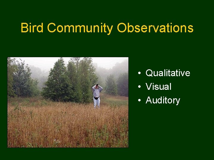 Bird Community Observations • Qualitative • Visual • Auditory 