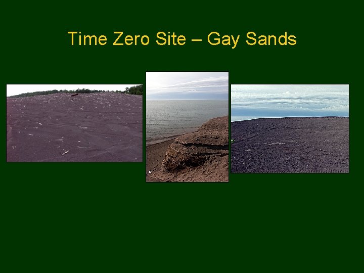 Time Zero Site – Gay Sands 