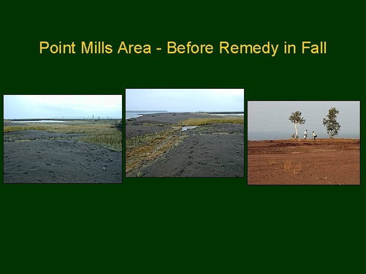 Point Mills Area - Before Remedy in Fall 