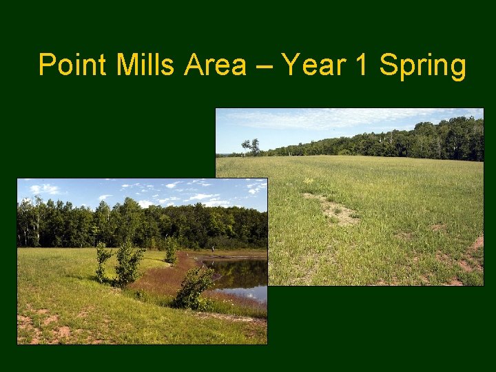 Point Mills Area – Year 1 Spring 