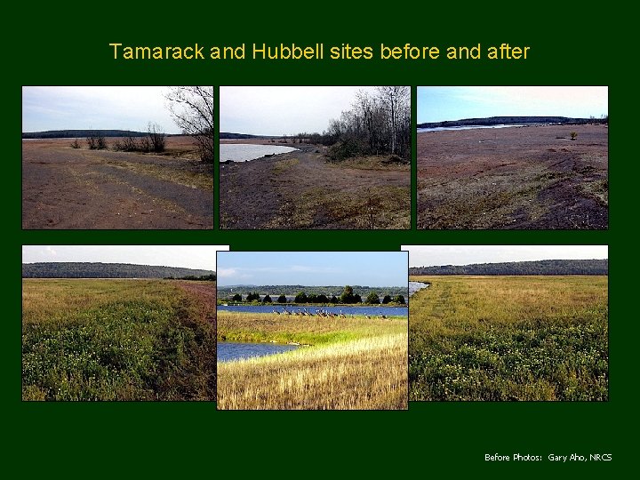 Tamarack and Hubbell sites before and after Before Photos: Gary Aho, NRCS 