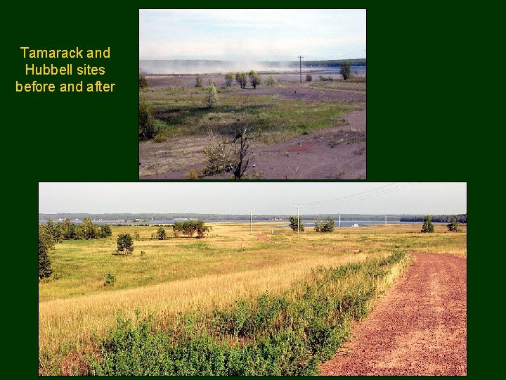 Tamarack and Hubbell sites before and after 